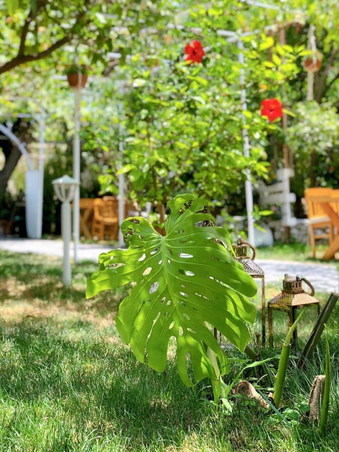 L'Onda Oda Bodrum Eksteriør bilde