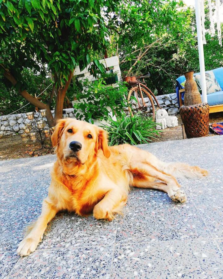 L'Onda Oda Bodrum Eksteriør bilde